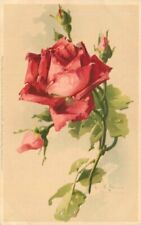 C-1910 Klein Floral Beautiful rose artist impression Postcard 21-11588 picture
