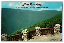 Cheat River George As Seen From Cooper's Rock Morgantown West Virginia Postcard picture