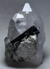 240 GM Full Terminated Natural Black TOURMALINE Crystals In QUARTZ Specimen @Pak picture