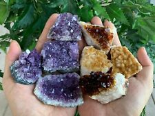 8 pieces Amethyst Citrine Cluster Druzy Collection Box: 2-3 Inch Grade A+ Geode picture