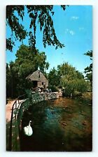 Dexter's Grist Mill on Shawme Pond Sandwich Cape Cod Swan Stone Wall Postcard E8 picture