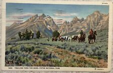 Vintage Postcard C1941 Trailing Thru The Sage Tenton Natl Park Montana  picture