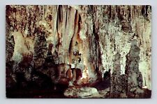 Carlsbad Caverns National Park New Mexico Queens Chamber Postcard UNP VTG Dexter picture