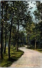 Driveway at Point Gratiot, Dunkirk, New York Postcard picture
