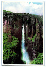 c1950's Angel Fall from Top of Auyantepui Mount Carrao River Venezuela Postcard picture