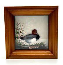 Joseph Q Whipple for Abercrombie & Fitch Shadow Box Woodcock Mallard Duck Signed picture
