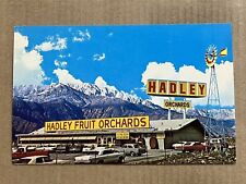 Postcard Cabazon CA California Hadley's Fruit Orchards Nuts Advertising Vintage picture