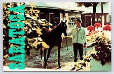 1960s Saratoga Race Track Fastig Tipton Horse Auction New York NY Postcard picture