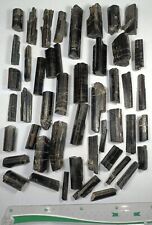 1.2-KG Black Tourmaline Crystals Lot (50 PCs) From skardu, Pakistan. picture