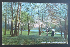Pastoral Scene Washington Park Chicago IL Unposted DB Postcard picture