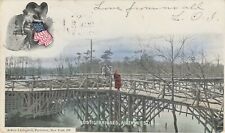 Allenhurst NJ -- Rustic Bridges -- 1906 -- Small Bridges - Bicycles - Liberty picture