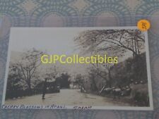 DEI VINTAGE PHOTOGRAPH Spencer Lionel Adams CHERRY BLOSSOMS IN ATAMI JAPAN picture