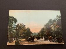 c.1908 Driving In Central Park New York Postcard picture