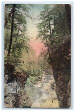 c1930's Poet's Dream Watkins Glen New York NY Handcolored Vintage Postcard picture
