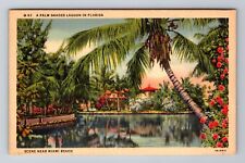 Miami Beach FL-Florida, A Palm Shaded Lagoon, Antique, Vintage Postcard picture