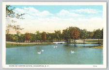 Postcard Cantine Estate, Saugerties, New York - Lake with swans picture