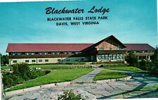 Vintage Postcard - Blackwater Lodge In State Park Davis West Virgina Un-Posted picture