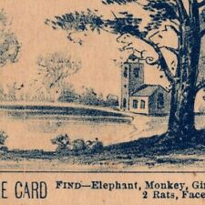 Carter's Backache Plasters Outdoor Find Animal Puzzle Game Victorian Trade Card picture