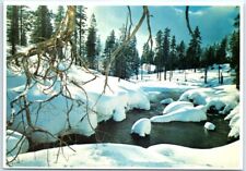 Postcard - Winter Solitude picture