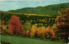 Vintage Postcard- ME1552. Acadia national park, Maine. Autumn. Posted 1975 picture