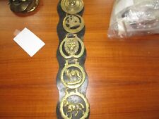 Five Vintage Horse Brass Medallion on  leather strap picture