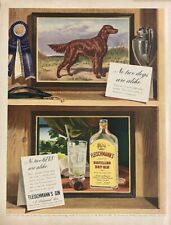 Rare 1941 Original Vintage Fleischmann's Gin w/ Irish Setter Dog Advertisement picture
