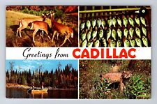 Cadillac MI-Michigan, Banner Greetings, Deer, Fishing, Vintage Postcard picture