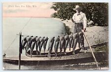 c1910s Black Bass Fox Lake Wisconsin Vintage Fishing Dodge County WI Postcard picture