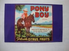 Railfans2 837) 1989 Fresh Expression Postcard, Florida Pony Boy Citrus, Fruits picture