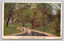 c1920s Greetings From Baldwin City Kansas  P791 Creek Stream picture