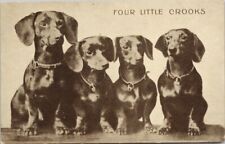 Four Little Crooks Dogs Dachshund Dog 1908 Pakenham & Ottawa Cancel Postcard H61 picture