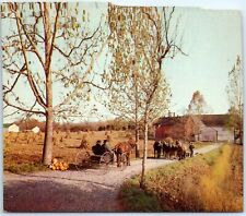 Postcard - Horse-'N-Buggy Country, 