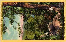 Vintage Postcard- HOT SPRINGS NATIONAL PARK, AR picture