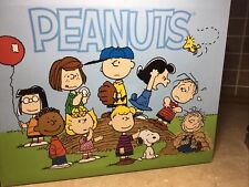 Artissimo Designs Peanuts Charlie Brown and Gang frame 2017  11 x 14 REALLY CUTE picture
