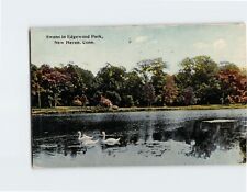 Postcard Swans in Edgewood Park New Haven Connecticut USA North America picture