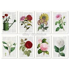 Set of 8 Botanical Garden Postcards, Flower, Rose, Sunflower, Nature Lovers picture