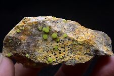55g TOP Natural Pyromorphite Crystal Cluster collection Mineral Specimen China picture