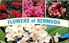 postcard Vintage Flowers Of Bermuda A4 picture