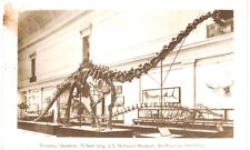 Washington DC RPPC Smithsonian Dinosaur 1910  picture