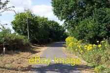Photo 6x4 The Centurion Way cycle path near Fishbourne Chichester As old  c2005 picture