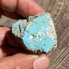 ROBIN EGG BLUE SLEEPING BEAUTY TURQUOISE ROUGH SPECIMEN CABBING LAPIDARY 249 ct picture