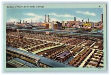 c1920s Section of Union Stock Yards Chicago Illinois IL Union News Postcard picture