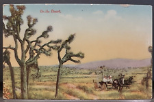 Postcard  On The Desert Newman Post Card Co. Horse Carriage  CA  ZB1 picture
