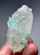 Tourmaline Crystals On Quartz Specimen From Afghanistan 230 Carats picture