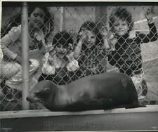 1974 Press Photo Youngsters watch a seal at Pontchartrain Beach Children's Hour picture