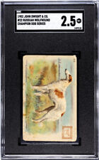 1902 John Dwight & Co. Russian Wolfhound #22 Champion Dog Series SGC 2.5 picture