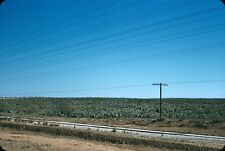 1966 Powerline Railroad Track Cactus Field Texas TX Vintage 35mm Slide picture