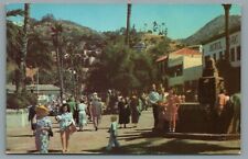 Avenida La Crescenta Avalon Santa Catalina Island California Unposted Postcard picture