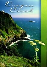 Cape Foulweather Oregon Coast Postcard picture