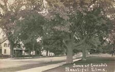 A View Of Some Of Cascade's Beautiful Elms, Cascade, Iowa IA RPPC picture